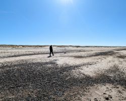 Eine Person steht an einem Sandstrand mit blauem Himmel.