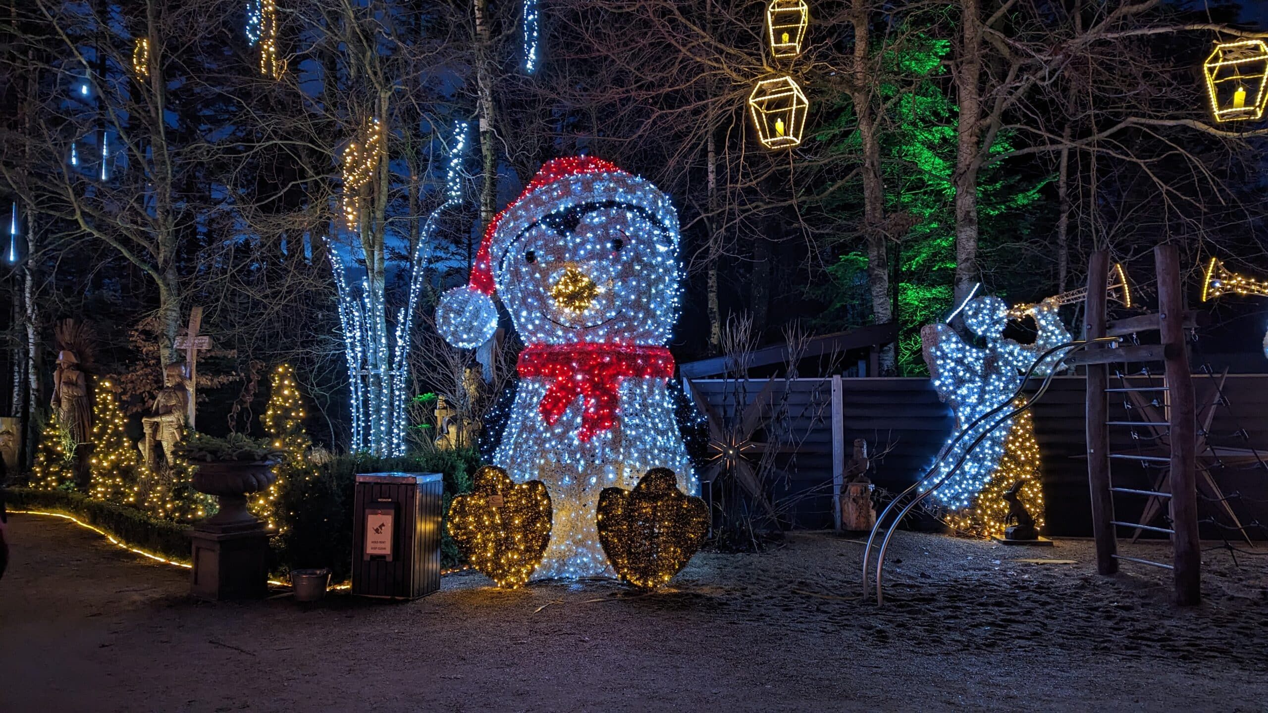 Eine Gruppe Weihnachtsbeleuchtung in einem Waldgebiet.