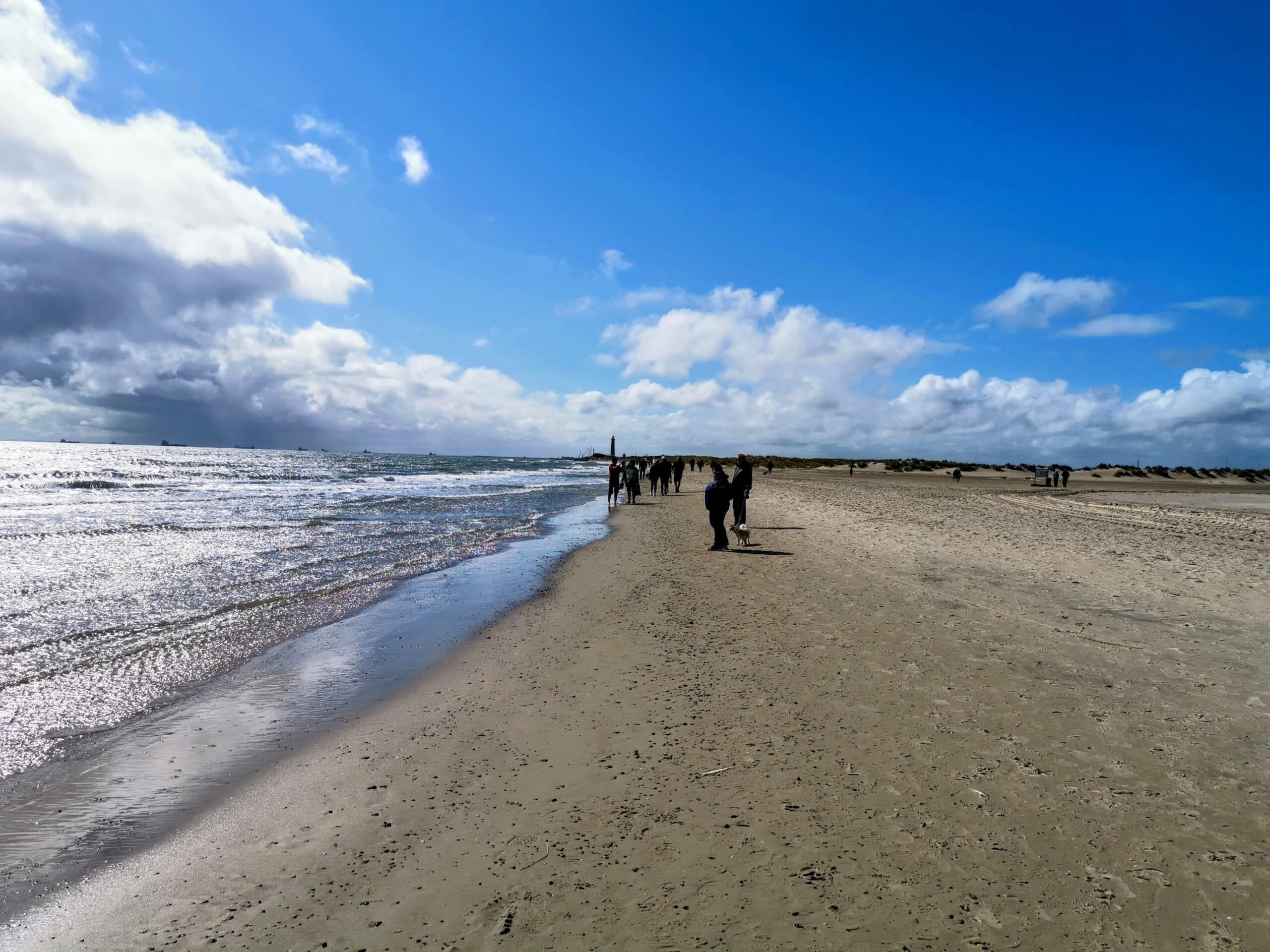 Eine Gruppe von Menschen, die an einem Strand in der Nähe des Ozeans spazieren gehen.