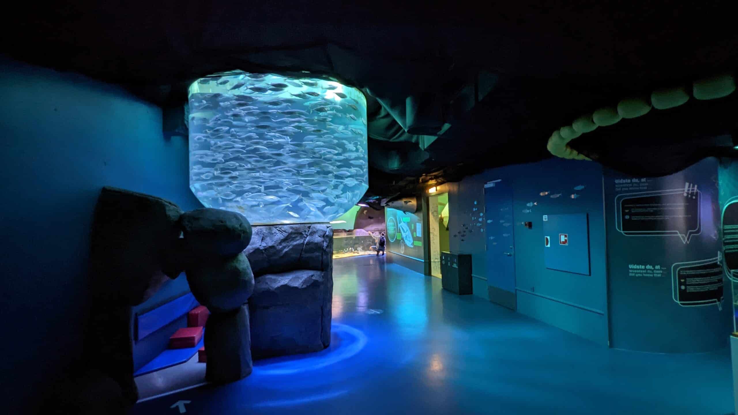 Ein Flur mit blauem Licht und einem Aquarium.