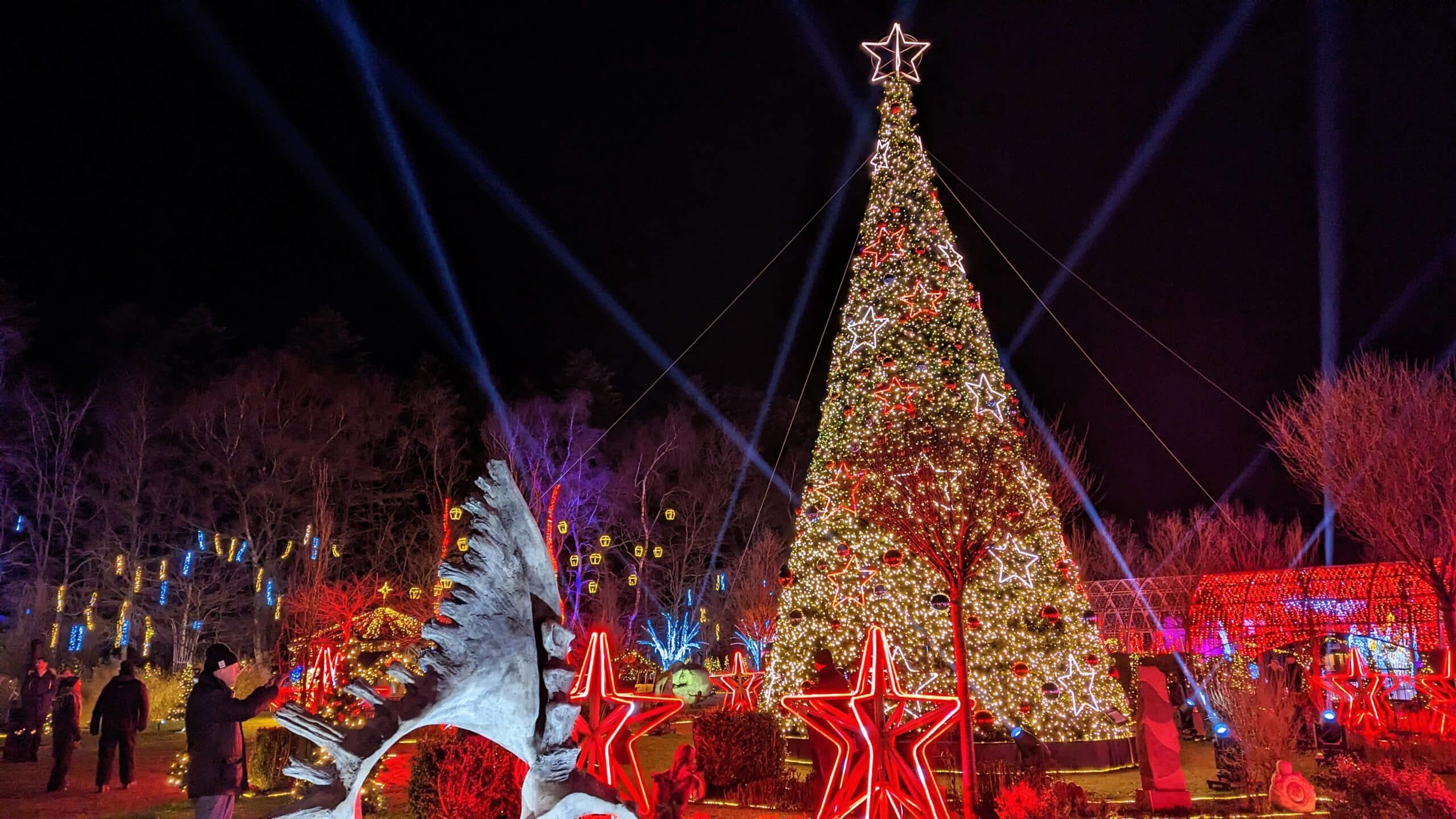 Ein großer Weihnachtsbaum mit Lichtern im Hintergrund.