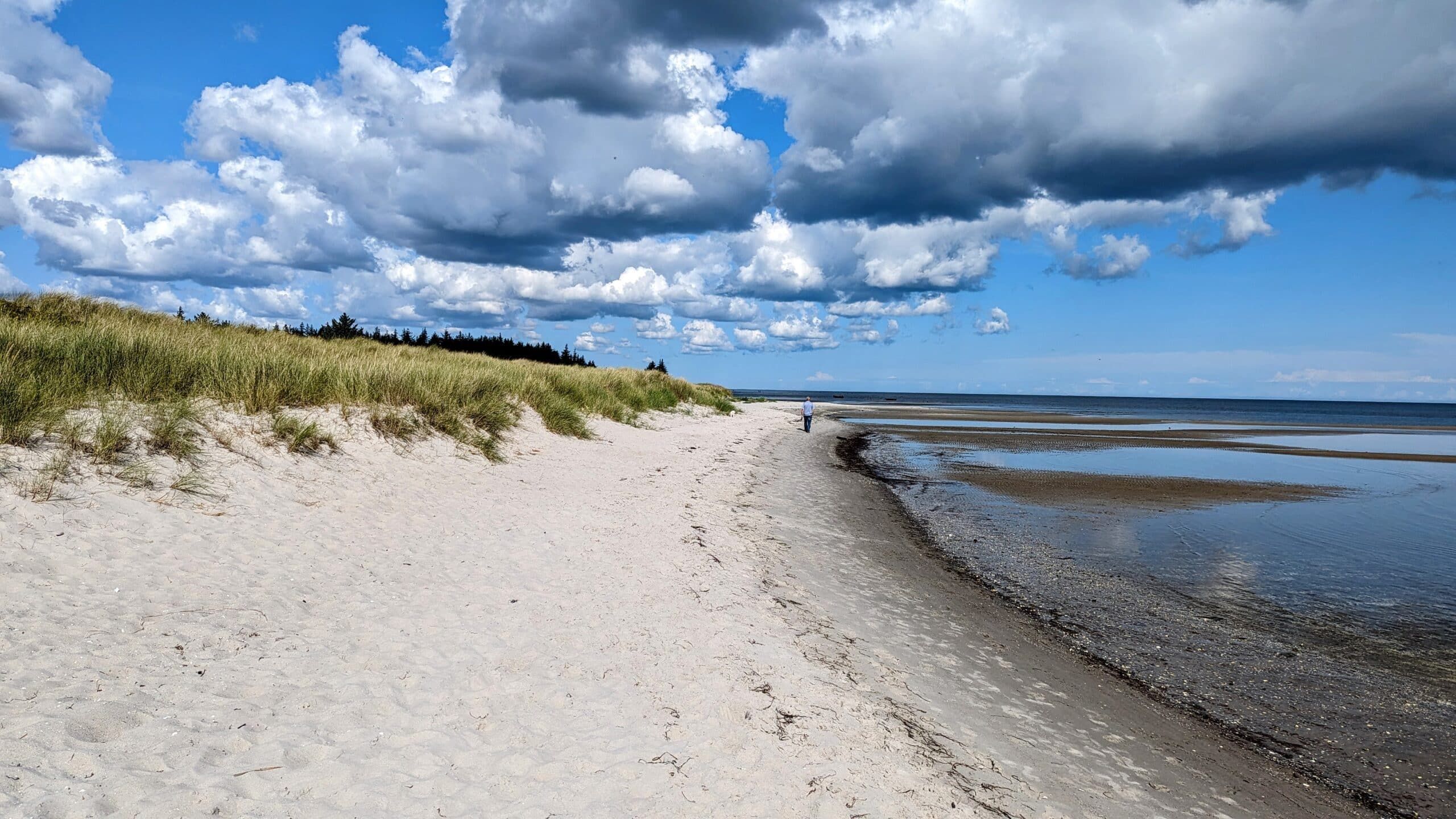 Ein Strand mit Sand und Wasser unter einem bewölkten Himmel.