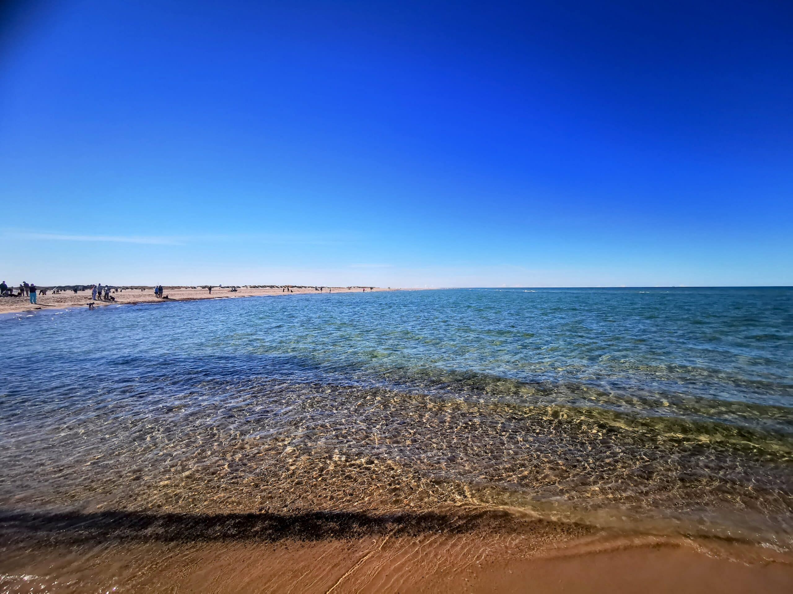 Ein Strand mit klarem Wasser und blauem Himmel.