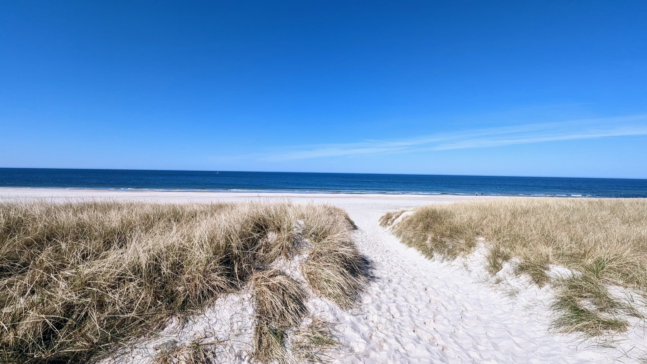 Ein Weg führt zum Strand mit Sanddünen.