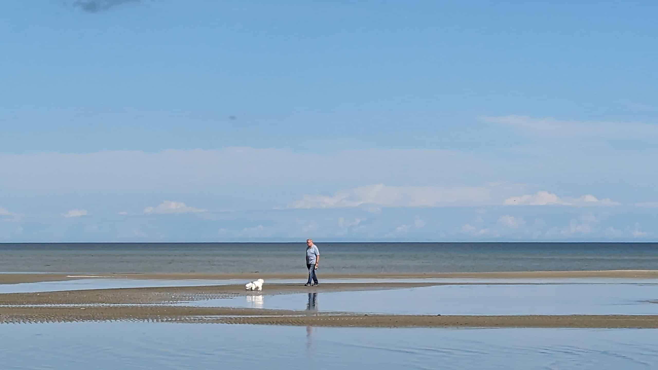 Ein Mann steht mit einem Hund am Strand.