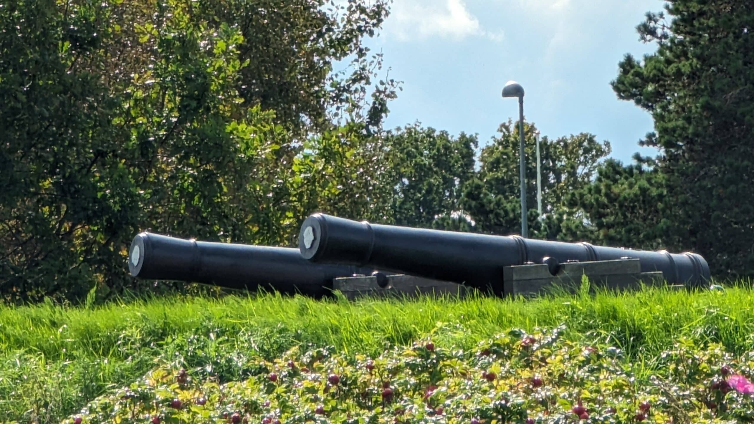 Zwei Kanonen stehen auf einem grasbewachsenen Hügel.