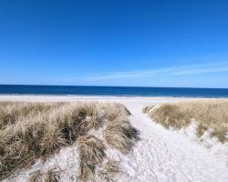 Ein Weg führt zum Strand mit Sanddünen.
