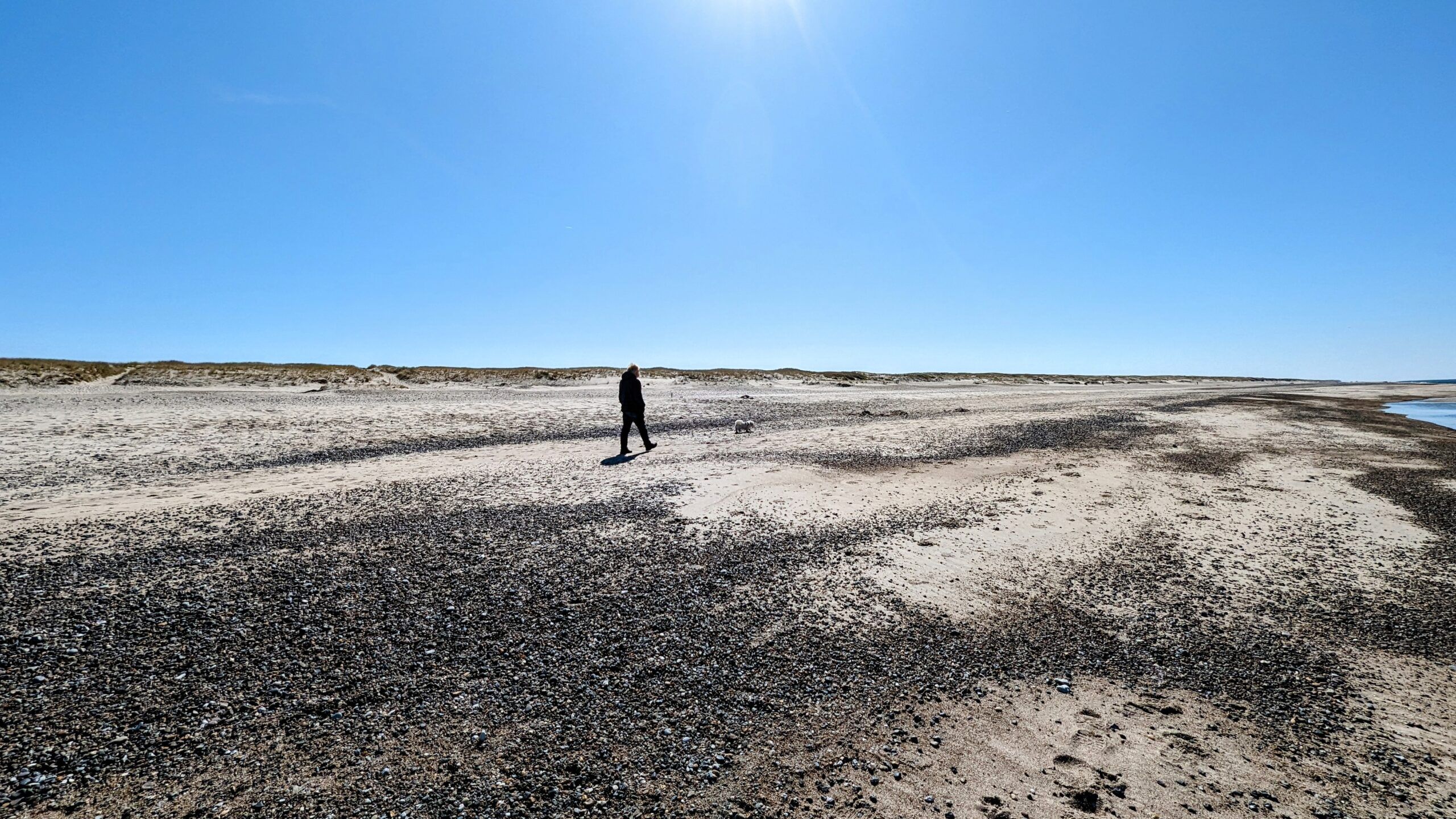 Eine Person steht an einem Sandstrand mit blauem Himmel.