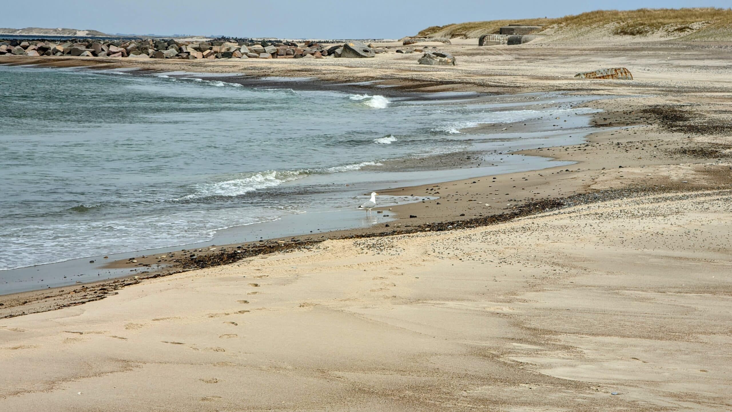 Ein Sandstrand mit Fußspuren im Sand.