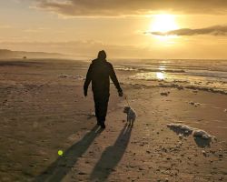 Eine Person geht bei Sonnenuntergang mit einem Hund am Strand spazieren.
